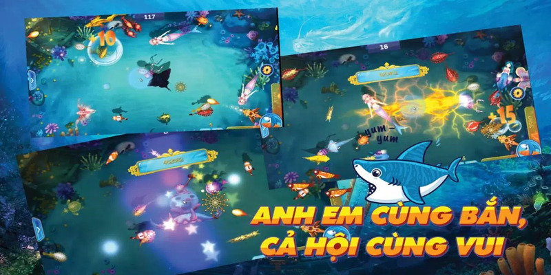 Lý do game thủ chọn bắn cá Koi online