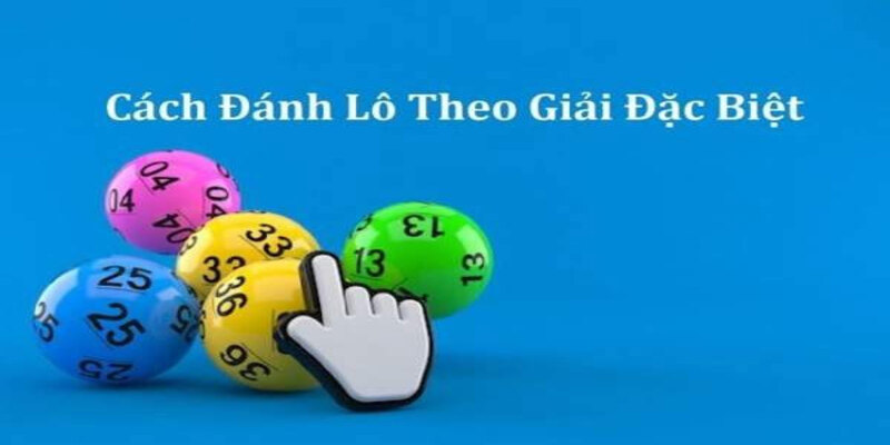 Bắt cầu theo tuần và những điều cần biết