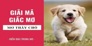 Lý giải hàm ý về việc nằm mơ thấy chó