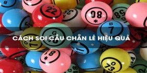 huong dan cach bat cau chan le