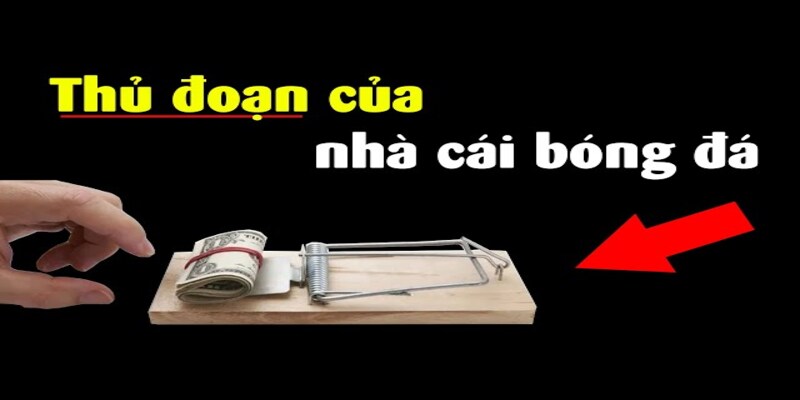 Lưu ý cho người chơi mới khi lựa chọn nhà cái